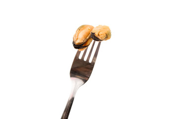 mussels