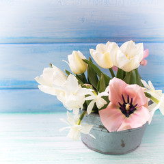 Pink and white tulips and white narcissus flowers
