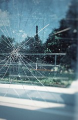 Broken glass window with reflection of nature