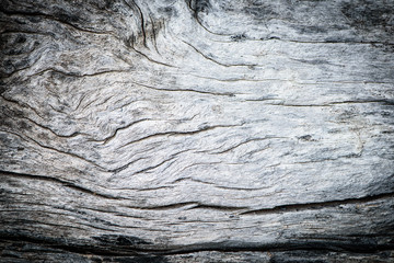 wood background