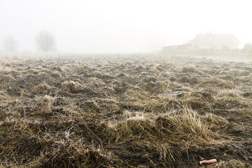 plowed land in the fog