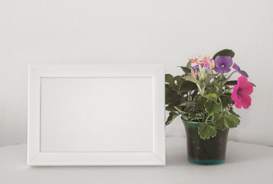 white frame and flower