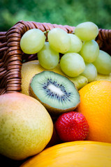 Gefüllter Obstkorb im Garten