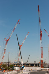 再開発中の豊洲地区