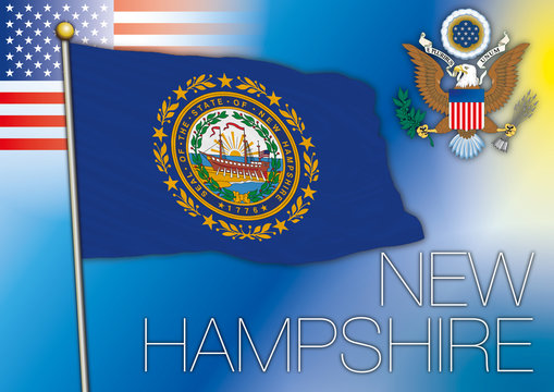 new hampshire us state flag