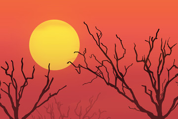 Sunset with Dry tree