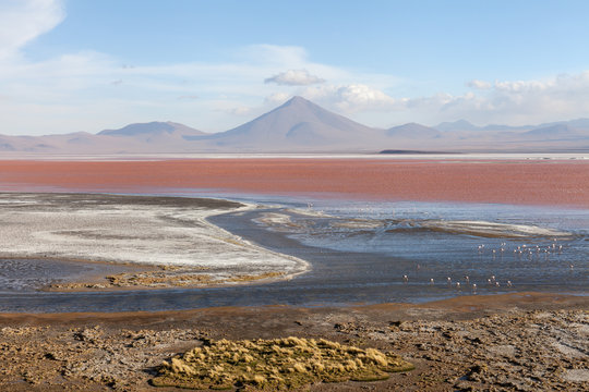Laguna Colorada, Bolivia . Fenicotteri, vulcano, e cielo blu con nuvole bianche all'orizzonte