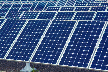 Solar panels aligned work