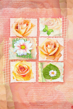 Congratulations card with pictures of flowers on separate plots and hand written text on abstract apricot background. Can be used as greeting card, invitation for wedding, birthday and other holiday.