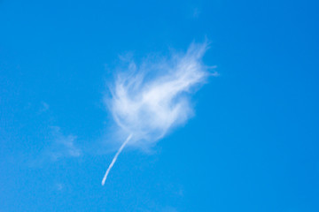 Feather like cloud and aircraft contrail