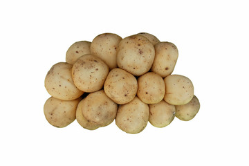 long kong isolated on white