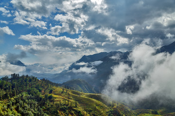 Rice terraced in mountain