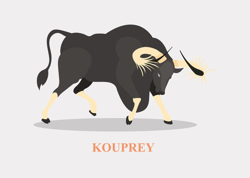 Kouprey on grey background.