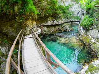 Obraz premium Wąwóz Vintgar