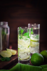 Fresh Mojito Cocktail