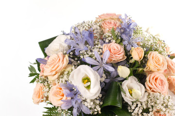 fiori di agosto
