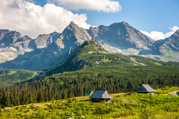 Hala Gąsienicowa - Tatry - obrazy, fototapety, plakaty