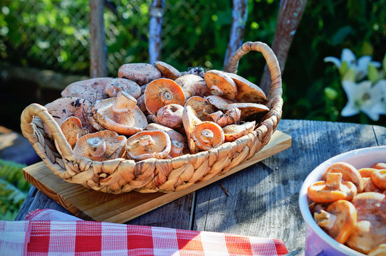 Mushrooms in a basket on the table outdoors