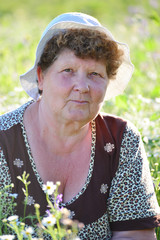  elderly woman on   meadow in summer day
