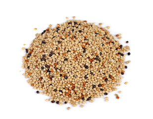 Obraz na płótnie Canvas seed mixture isolated on white background. Pet food for birds