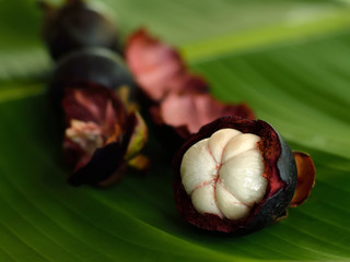 Fresh mangosteen fruit