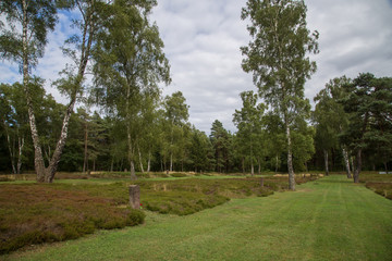 Mass graves at the Soviet War Cemetery Bergen-Lohheide close to the concentration camp Bergen-Belsen, Germany. Around 20000 soviet prisoner of war who died in Bergen-Belsen are entombed here.