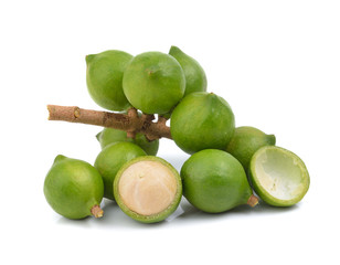 fresh macadamia nut on white background