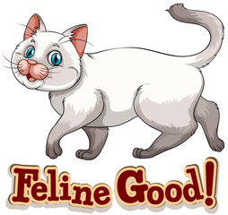 Feline