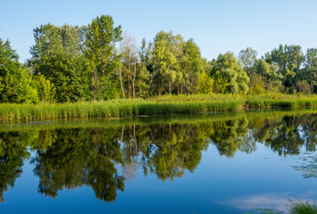 Fototapeta premium Sunny day on a calm river in summer