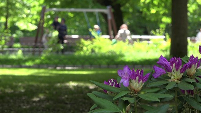 Garden gazebo arbor bower protective net from insect move in wind in spring time. Wooden tables and benches inside. Static shot. 4K UHD video clip.
