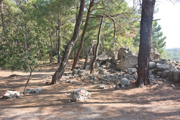 Phaselis