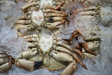 Crab, fish market