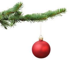 red christmas blank ball hanging on fir branch, white