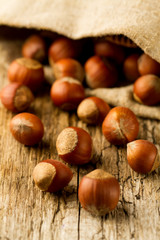 hazelnuts scattered out of the bag on old wooden background. Healthy vegetarian food