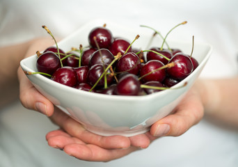 Hands holding a white bowl with ripe cherries. Shallow dof