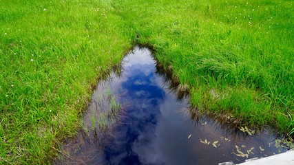 湿原と池塘と青空