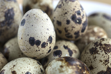 Quail's eggs