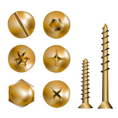 gold screw heads - obrazy, fototapety, plakaty