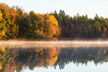 iew of a Deciduous forest Colourful Autumn with fog on the lake