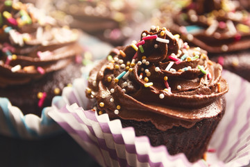 Delicious chocolate cupcake with whipped and sprinkle on the top