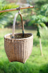 The bamboo basket in the garden.