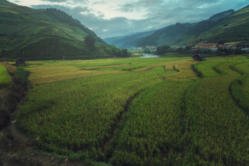 Rice fields on terraced of Mu Cang Chai, YenBai, Vietnam