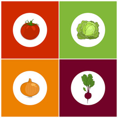Set of Icons Vegetables , Icon Red Tomato, Icon  Onion, Icon White Cabbage, Icon Beet with Tops of Vegetable , Vector Illustration