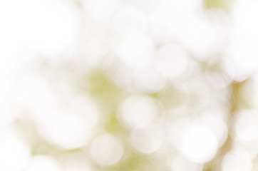 Obraz premium bokeh abstract light and blur backgrounds