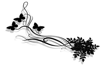 papillon noir © bordeur