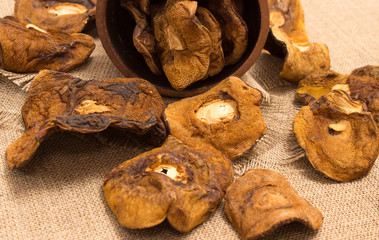 Dried mushrooms on canvas