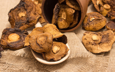 Dried mushrooms on canvas