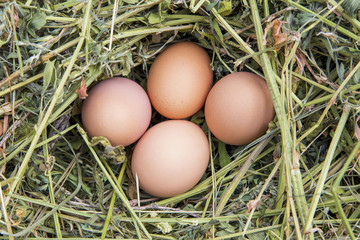 Eggs