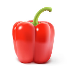 Red bell pepper isolated on white background. Vector illustration