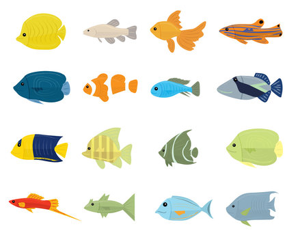 Set of Tropical Fish on white background